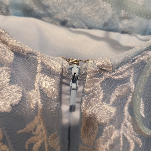 Prom or Homecoming Dress - Picture 10 of 16